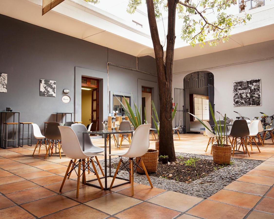 Bkl Hotel Oaxaca Extérieur photo