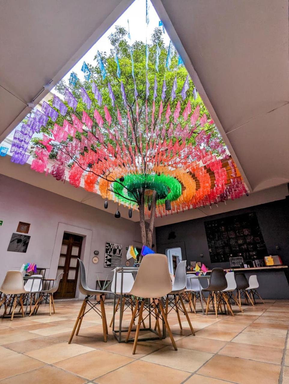 Bkl Hotel Oaxaca Extérieur photo